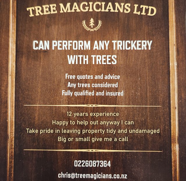 Tree magicians ltd  - Roseneath School